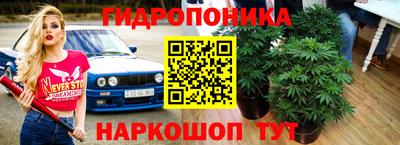 ALPHA PVP Комсомольск-на-Амуре