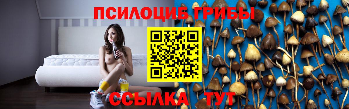 Галлюциногенные грибы Magic Shrooms  Вход с VPN  Волжский 